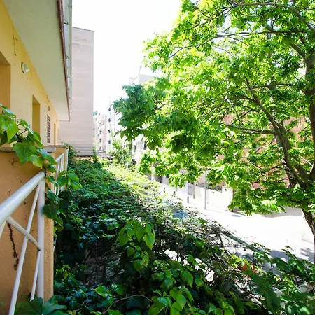 Lloret Guest house 2*